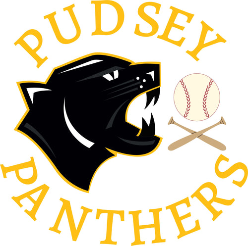 Pudsey Panthers impact Training shirt